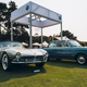 Illustration for article titled Immerse Yourself In Photos Of All The Most Beautiful Classic Cars You Can Imagine